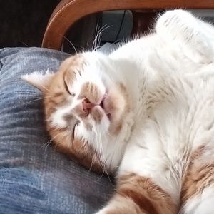 Meet your Posher, James